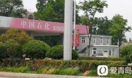 重庆王先生最新爆料,揭秘某神秘事件背后真相