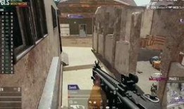 丹东饭店爆料事件始末视频,真相与争议的交织