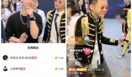 哥哥团队爆料视频大全,视频大全揭秘幕后故事